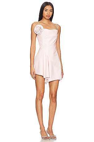 LAMARQUE Vela Dress in Pink