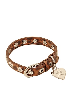 COL COUGAR FLOWER POWER COLLAR Little Beast