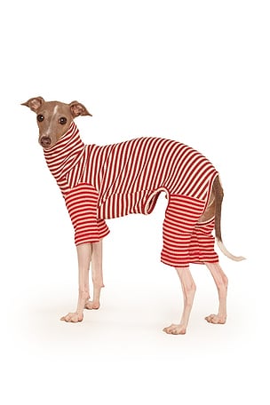 Little Beast Striped Onesie in Brown