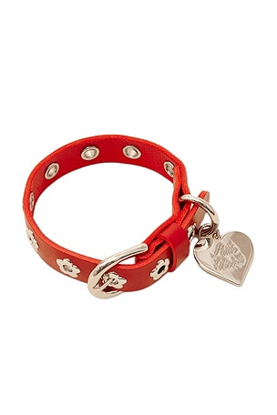 COL RUBY FLOWER POWER COLLAR Little Beast