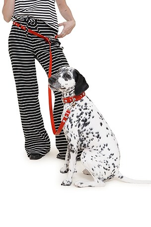 Little Beast Ruby Flower Power Leash in Red