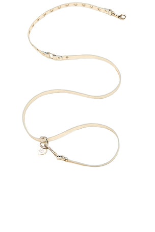 You Mean The World To Me Leash Little Beast