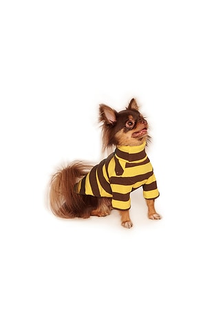 Little beast camisa a rayas striped shirt en color Amarillo,Marrón