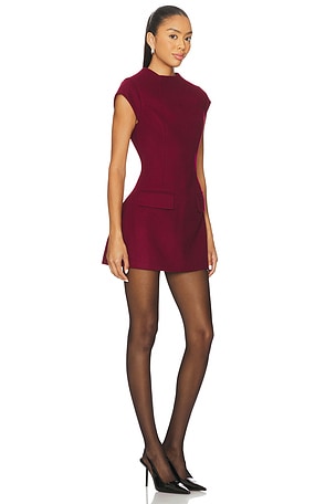 Line & Dot Noelia Mini Dress in Burgundy