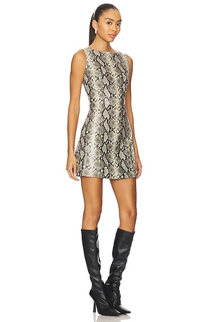 Line & Dot Python Mini Dress in Grey