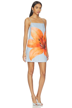 Line & Dot Avah Mini Dress in Baby Blue,Orange