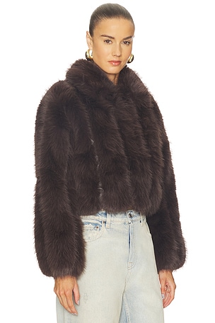 Line & Dot Jax Jacket in Brown