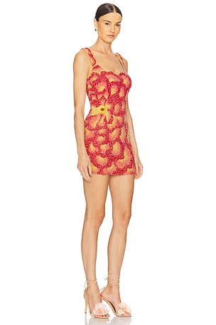 LA FUORI Sunset Rose Dress in Fuchsia,Red