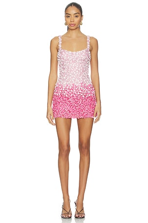 Pink Petal Ombre Embroidered Dress LA FUORI