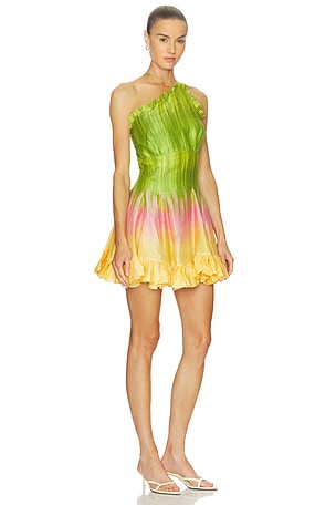 LA FUORI Sunset Glow Dress in Green,Pink