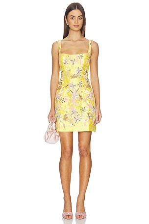 Golden Hour Lily Mini Dress LA FUORI