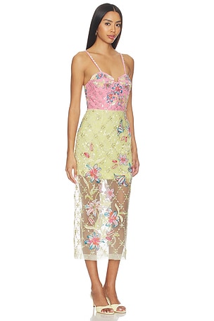 LA FUORI Blush Lily Embroidered Dress in Pink,Yellow. Size XL. Also