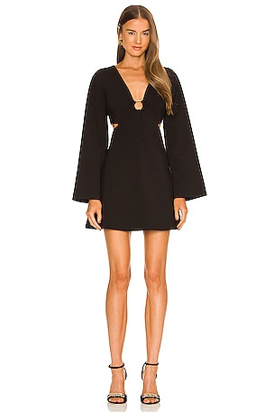 Long Sleeve Driscoll Dress LIKELY