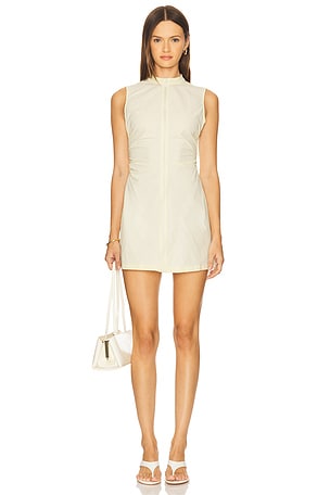 Fever Mini Dress LIONESS