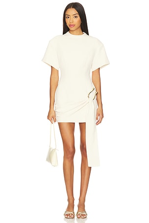 Martini Mini Dress LIONESS