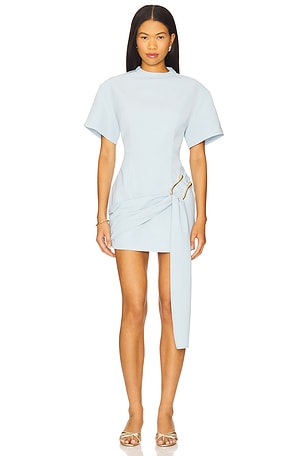 x REVOLVE Martini Mini Dress LIONESS