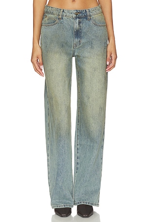 Top Model Jeans LIONESS