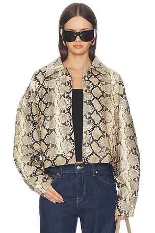 Angel Jacket LIONESS