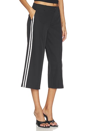 Genesis Pant LIONESS