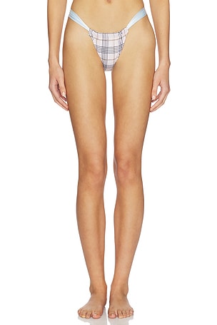 Paradiso Bottom LIONESS