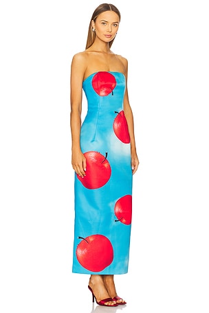 LEO LIN Rayna Bustier Maxi Dress in Blue