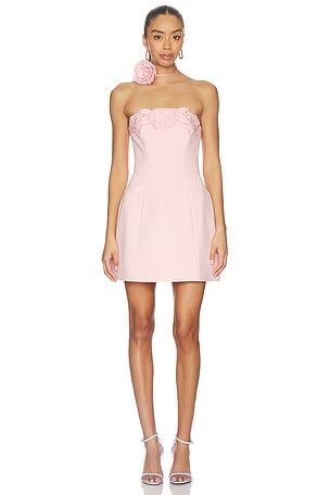 Roselle Applique Bustier Mini Dress LEO LIN