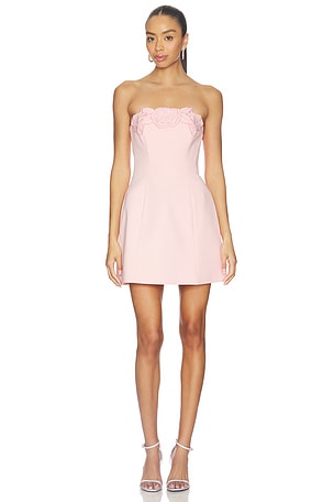 LEO LIN Roselle Applique Bustier Mini Dress in Pink