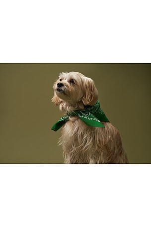 Lil Luv Dog Bandana in Green