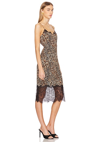 LOBA Jacinta Midi Dress in Brown