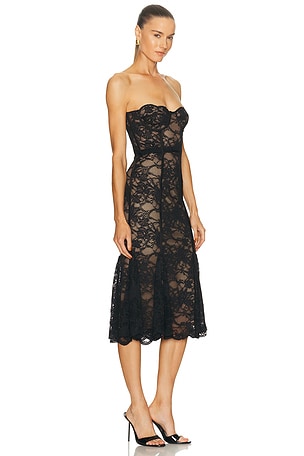 LOBA Lucienne Lace Midi Dress in Black