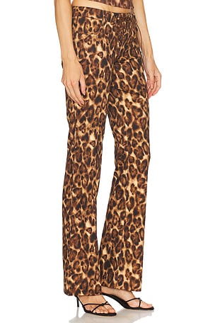LOBA Zahara Low Rise Pants in Brown