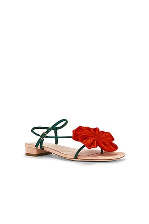Loeffler Randall Genevieve Flower Applique Flat Sandal in Red,Green