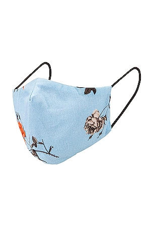 Face Mask Lovers and Friends