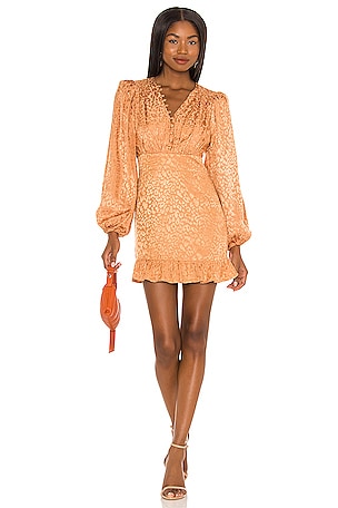 Stormy Dress Lovers and Friends