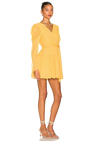 Lovers and Friends Morgan Mini Dress in Yellow