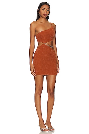 Lovers and Friends Kiana Mini Dress in Burnt Orange