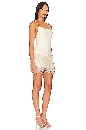 Lovers and Friends Anika Mini Dress in Beige
