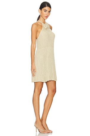 Lovers and Friends Nance Mini Dress in Neutral