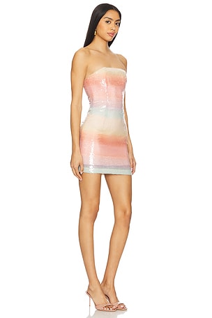 Lovers and Friends Rachael Mini Dress in Rose