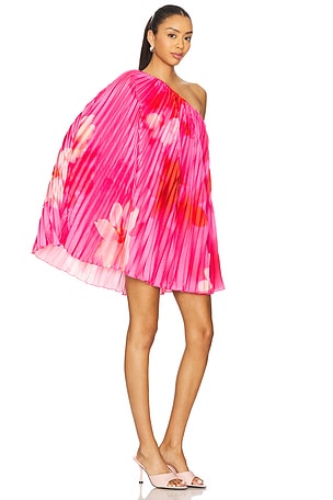 Lovers and Friends Gia Mini Dress in Coral