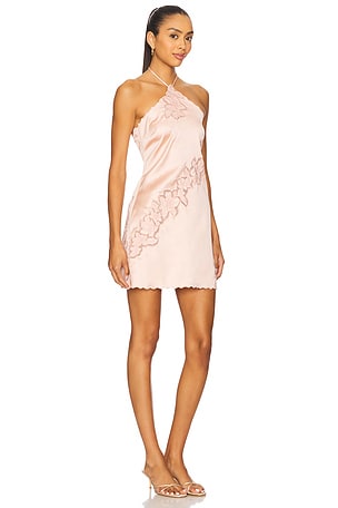 Lovers and Friends Begonia Mini Dress in Blush