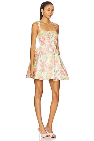 Lovers and Friends Ivy Mini Dress in Blush