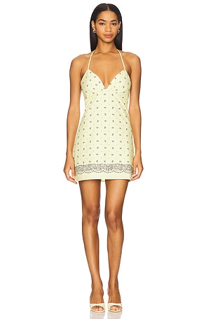 Amelia Mini Dress Lovers and Friends
