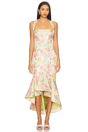 Ivy Maxi Dress Lovers and Friends