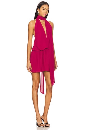Lovers and Friends Michelle Mini Dress in Wine