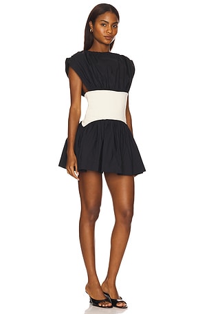 Lovers and Friends Jayden Mini Dress in Black