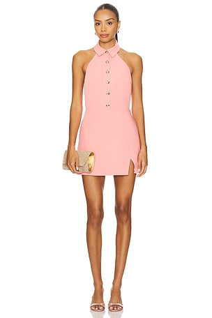 Ally Mini Dress Lovers and Friends