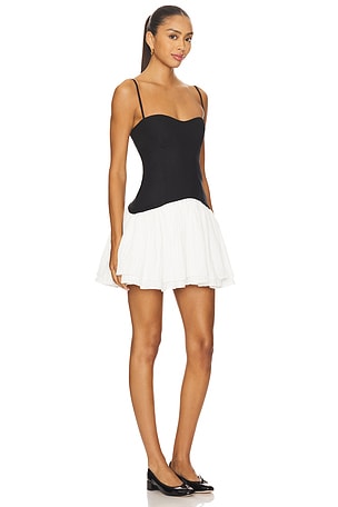 Lovers and Friends Lorelie Mini Dress in Black,White
