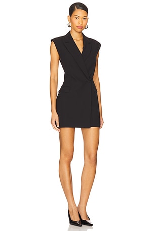 Lovers and Friends Brieanna Mini Dress in Black. Size XS. Also