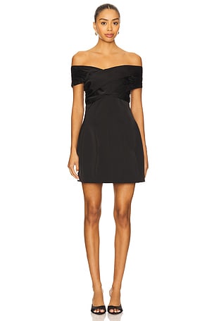 Violla Mini Dress Lovers and Friends